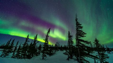 aurora borealis northern lights illinois